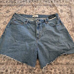 Abercrombie & Fitch The Loose Short Curve Love size 33
